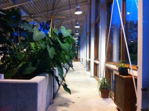 living-machine-water-plants-indoor.JPG.650x0_q70_crop-smart.jpg